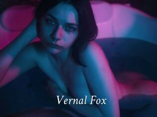 Vernal_Fox