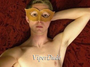 ViperDude