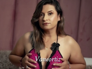 Vaneortiz