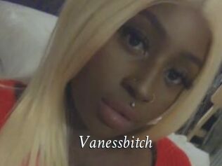 Vanessbitch