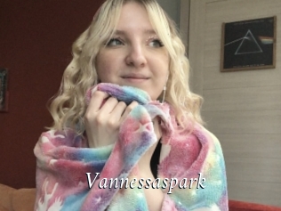 Vannessaspark