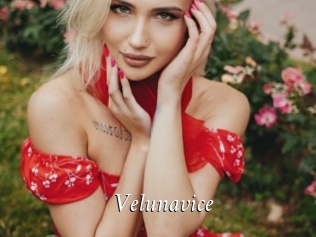 Velunavice