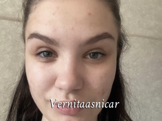 Vernitaasnicar