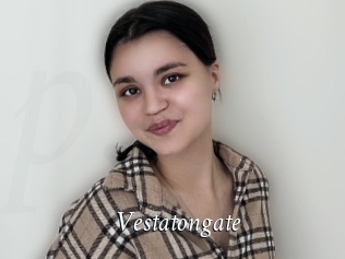 Vestatongate