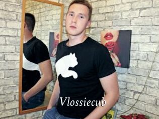 Vlossiecub