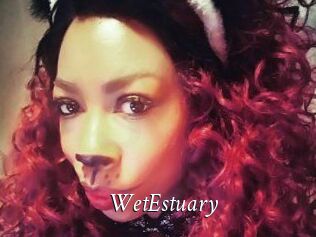 WetEstuary