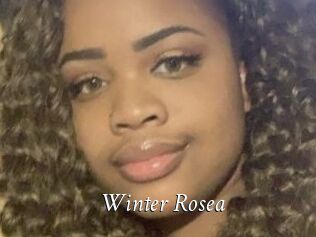Winter_Rosea