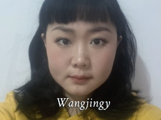 Wangjingy