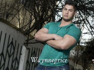 Waynneprice