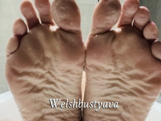 Welshbustyava