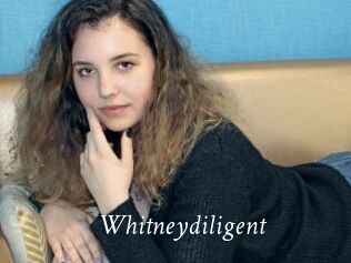 Whitneydiligent