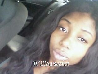 Willow_secret