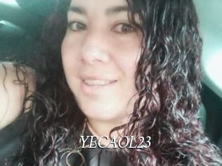 YECAOL23