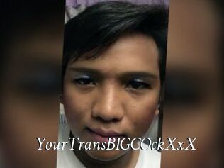 YourTransBIGCOckXxX