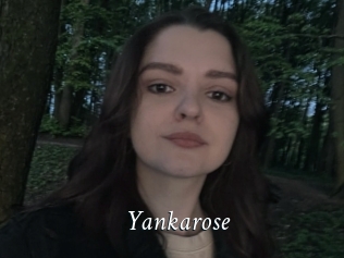 Yankarose