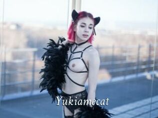 Yukiamecat