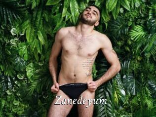 Zanedeyum