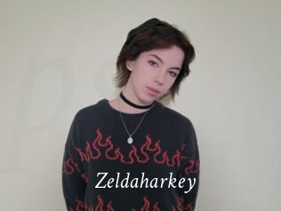 Zeldaharkey