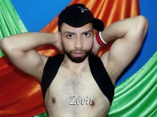 Zevit