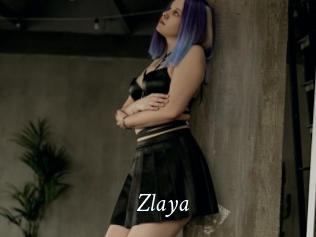 Zlaya